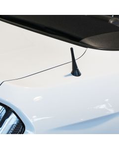 Korte antenne The Stubby Ford Mustang VI