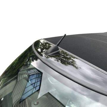 Korte antenne The Stubby (10 cm) MINI Cabrio R52 2004-2008